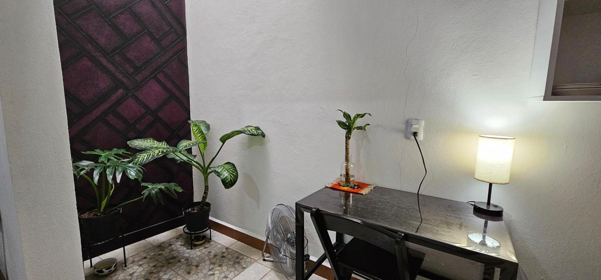 San Antonio de la CalDepa Purpura Caracol公寓 外观 照片
