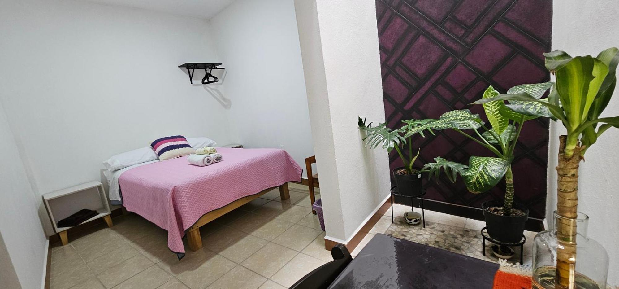 San Antonio de la CalDepa Purpura Caracol公寓 外观 照片