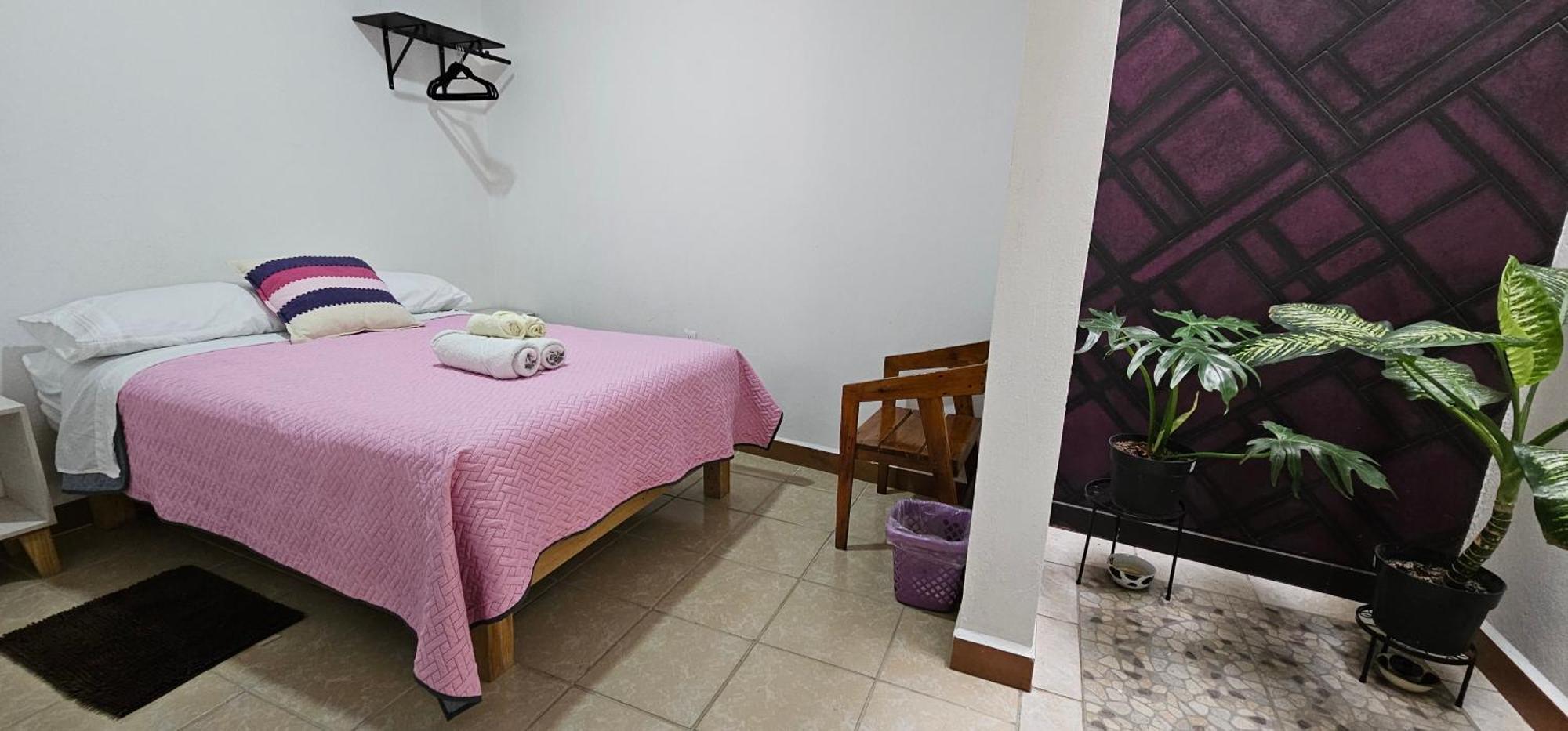 San Antonio de la CalDepa Purpura Caracol公寓 外观 照片